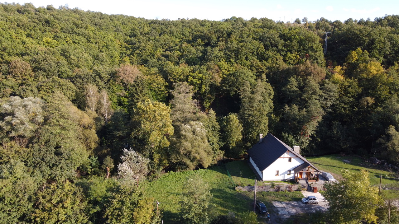 Törökpatak plot 1