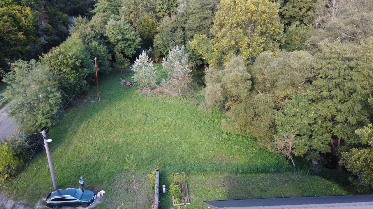 Spring view